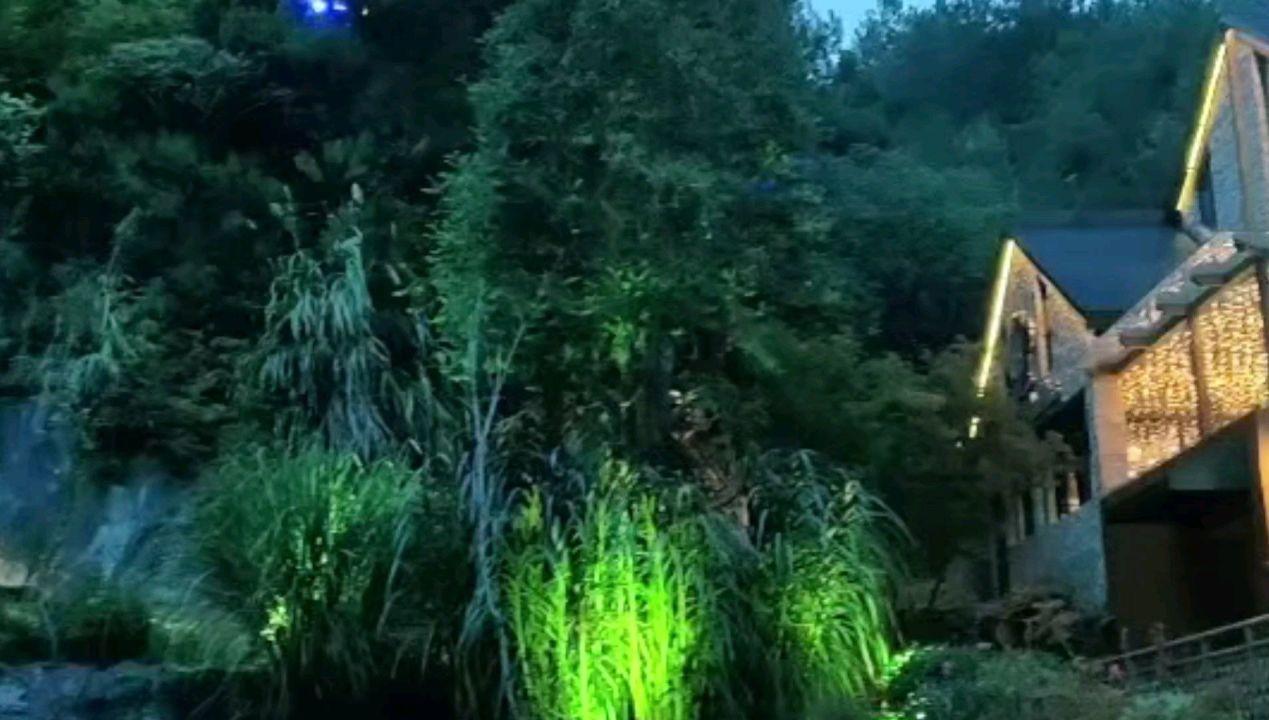都是素颜参加同学聚会，章子怡五官很一般，并没觉得多漂亮，反倒秦海璐颜值很高很瘦！